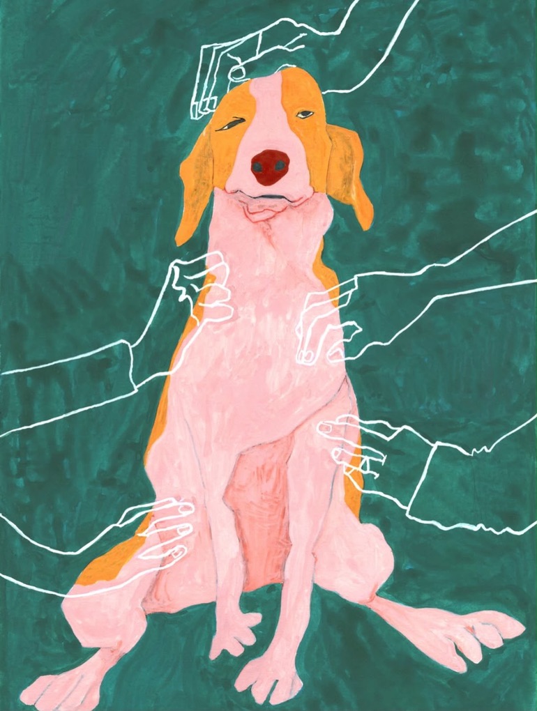 A pink and orange dog surrounded by drawn hands on a deep teal ground